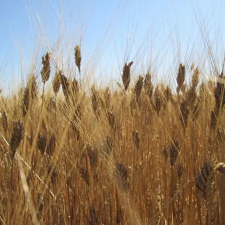 Séjour à la campagne A Giummara