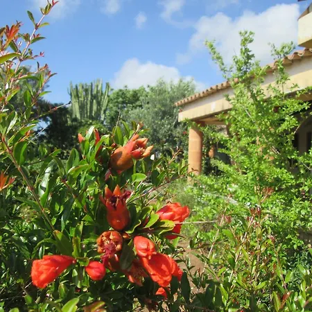 Country house A Giummara