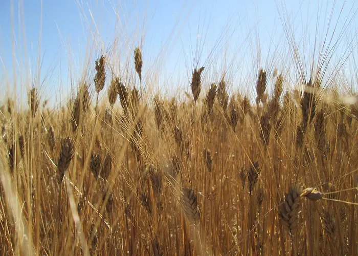 Séjour à la campagne A Giummara
